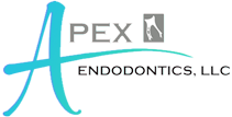 Apex Endodontics