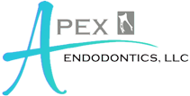 Apex Endodontics